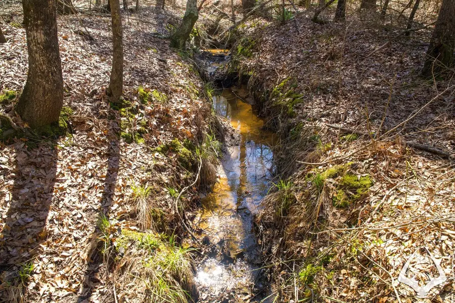 TBD 3 County Road 435 D, Laneville, TX 75667 - Image #3