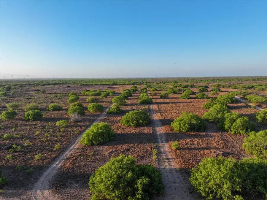 0 Las Brisas Rd, Rio Grande City, TX 78582 - #2