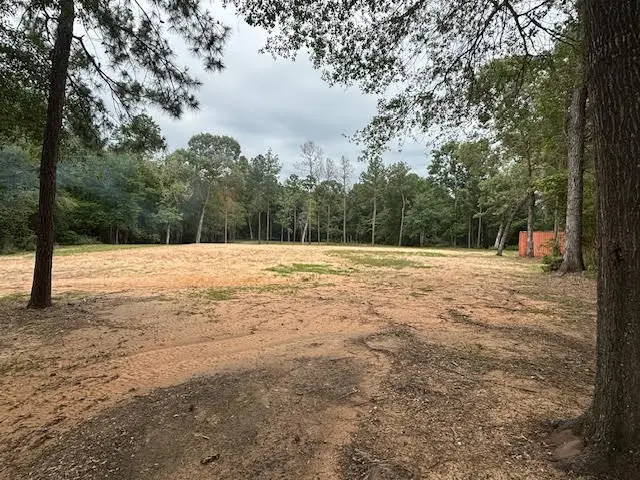 28171 Joseph Road, Hockley, TX 77447 - #2