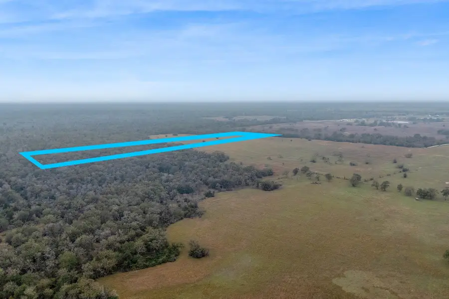 CR 123 - Tract 2, Bedias, TX 77831 - Image #2