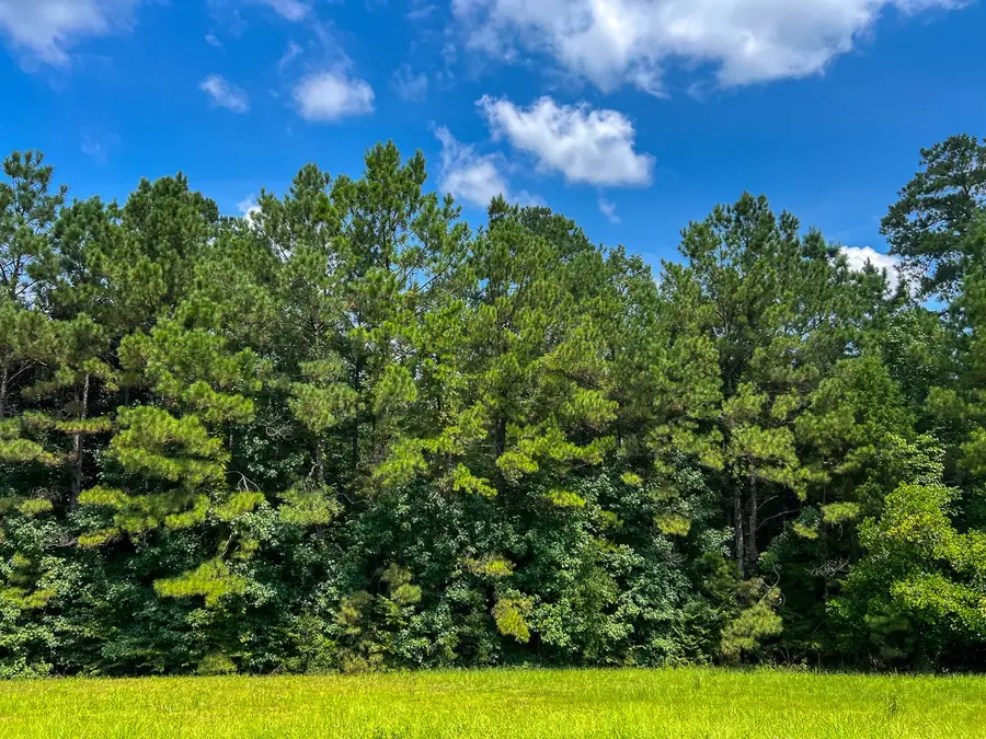 8 Highway 190, Woodville, TX 75979 - Image #3