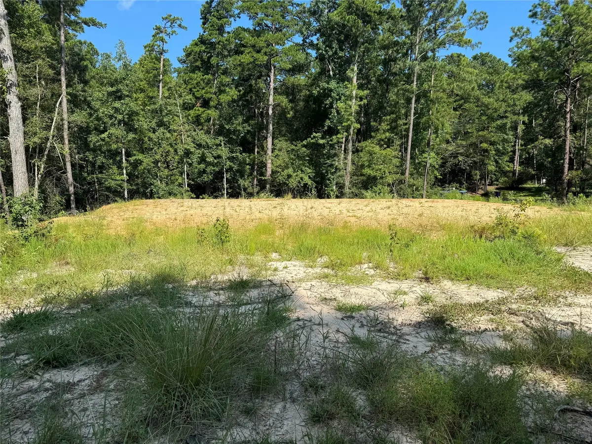 130 Ashcreek, Brookeland, TX 75931 - #1