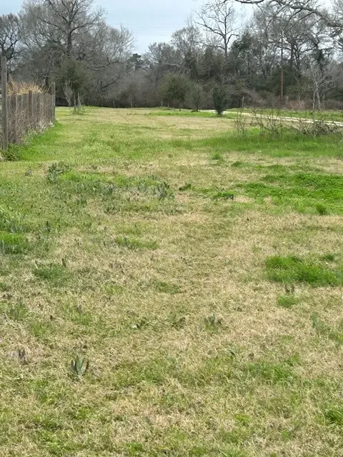 18382 Parker Road, Southeast Montgomery, TX 77328 - Image #3