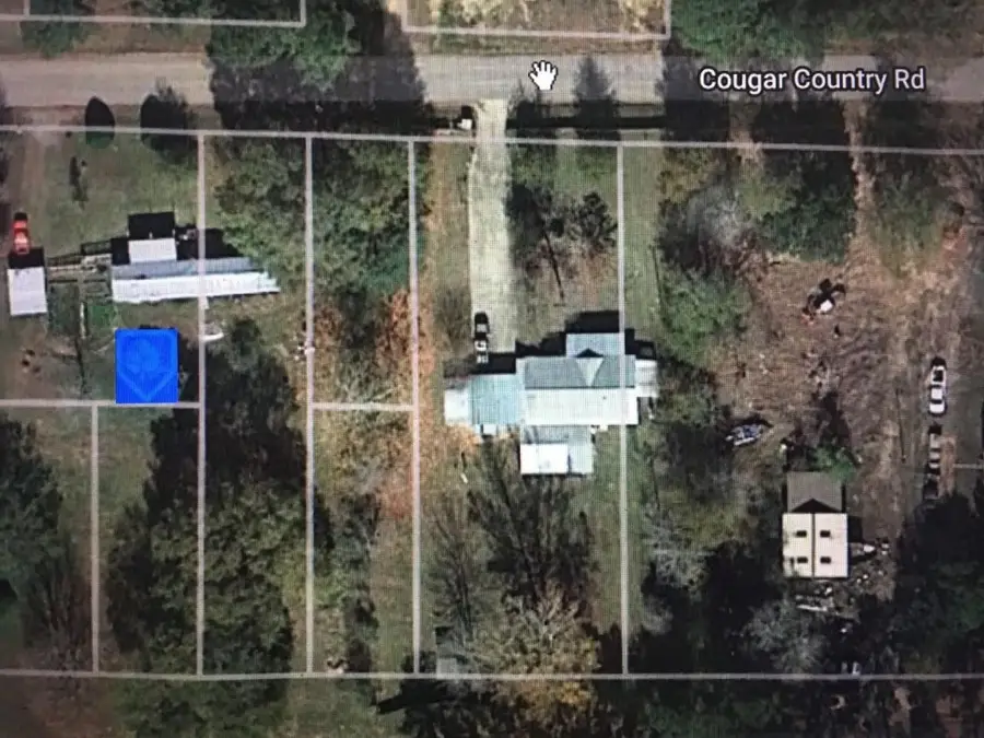 456 Cougar Drive, Buna, TX 77612 - Image #2