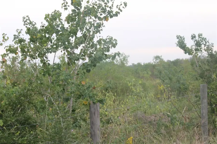 0 Englin, Winnie, TX 77277 - Image #3