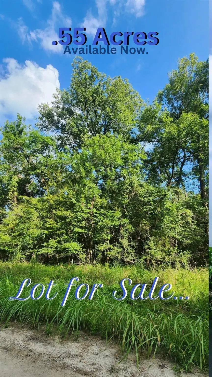 0 The Woods Road, Coldspring, TX 77331 - #2