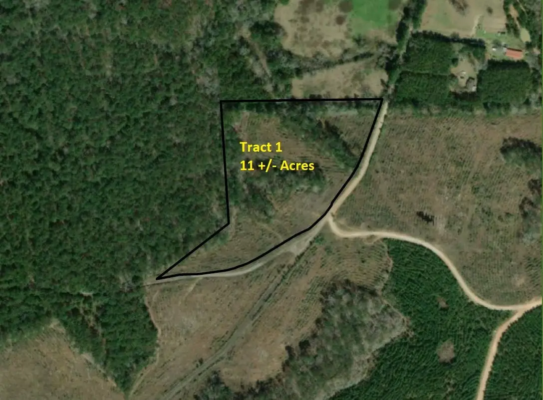 Tract 1 Denning Cr 255, San Augustine, TX 75972 - Image #1