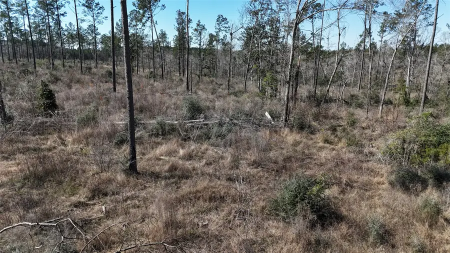 TBD Reveille Road, Livingston, TX 77351 - #2