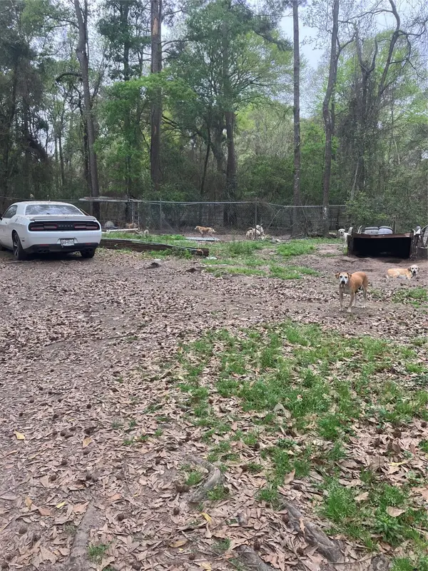 21072 Patricia Lane, New Caney, TX 77357