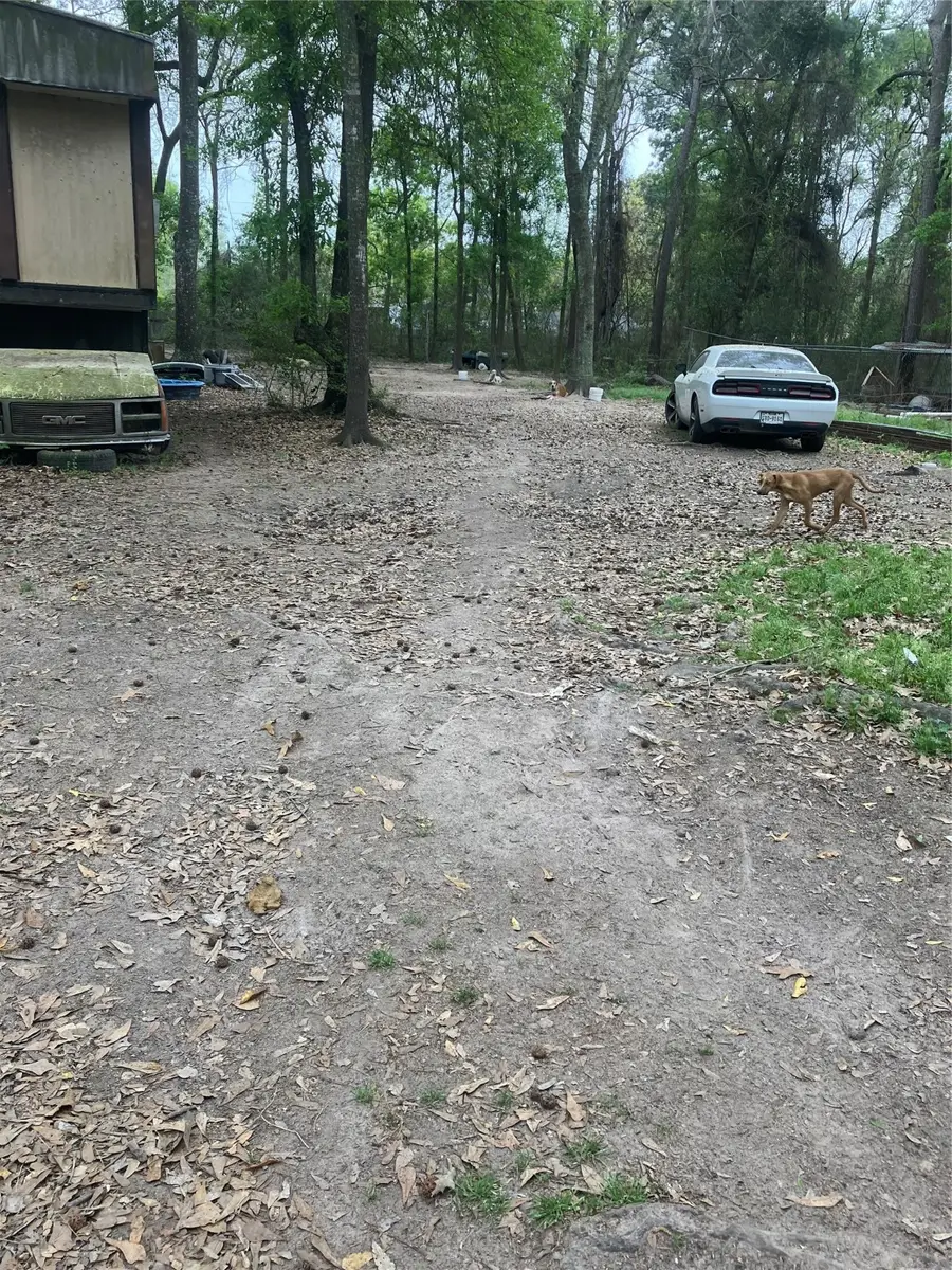 21072 Patricia Lane, New Caney, TX 77357 - Image #2