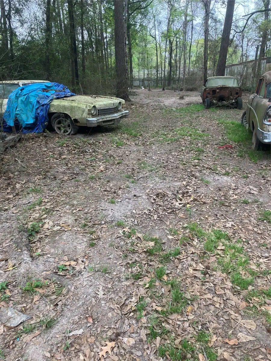 21072 Patricia Lane, New Caney, TX 77357 - Image #3