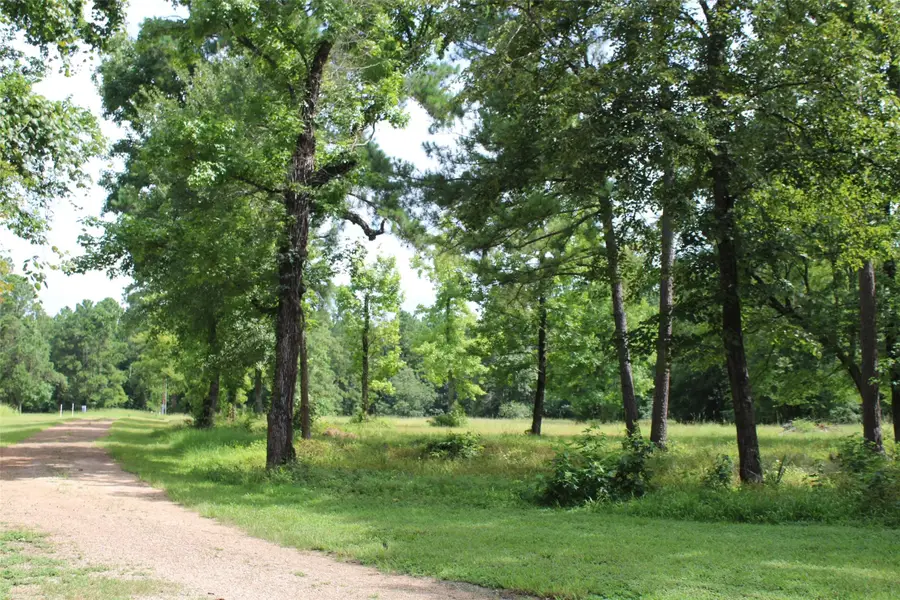 300 Bowling Road, Pointblank, TX 77364 - Image #2