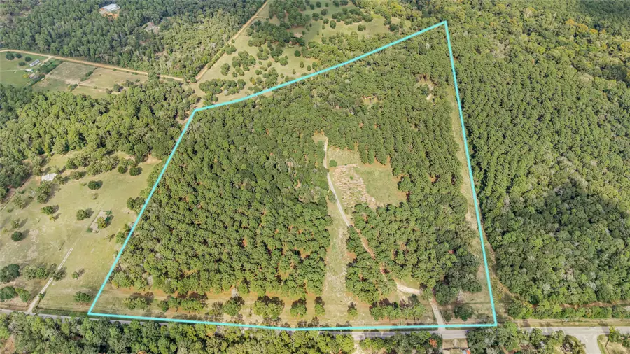 TBD Willis Waukegan Road, Conroe, TX 77303 - #2