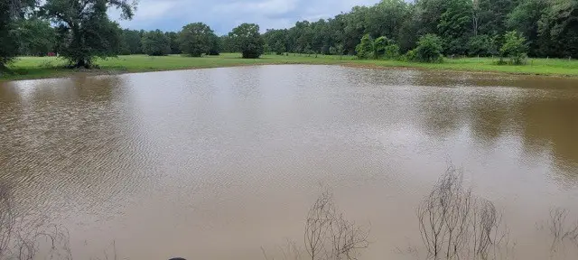 6526 Owensville Cemetery Road, Franklin, TX 77856 - Image #3