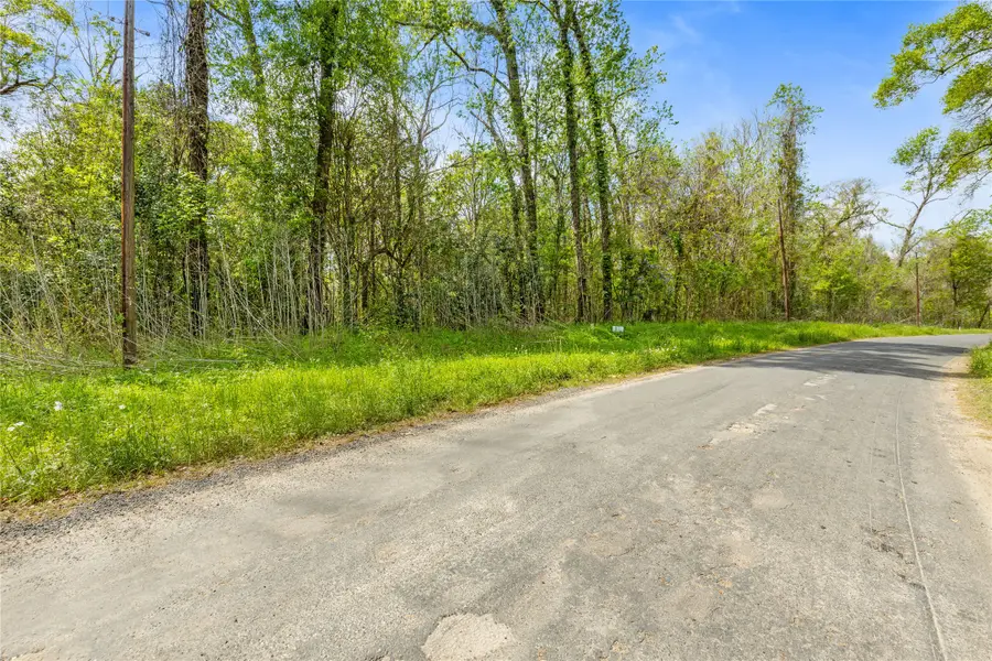 TBD County Road 2859 Phantom Drive, Cleveland, TX 77327 - #2