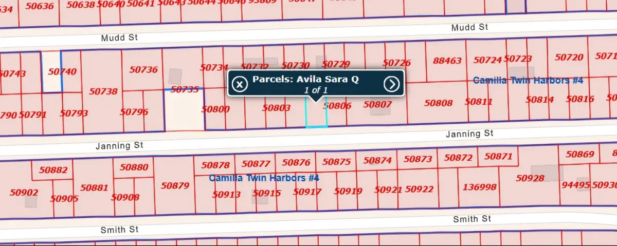 0 Janning Steet Street, Coldspring, TX 77331 - Image #1