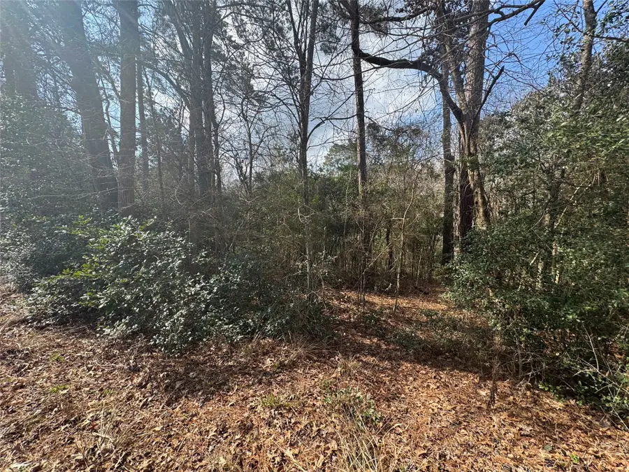 Lot 217 Mallard Drive, Coldspring, TX 77331 - Image #3