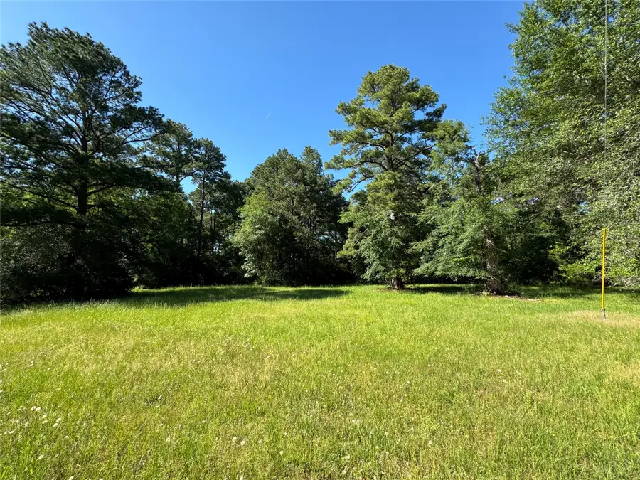 28 Oakridge North, Trinity, TX 75862 - #2