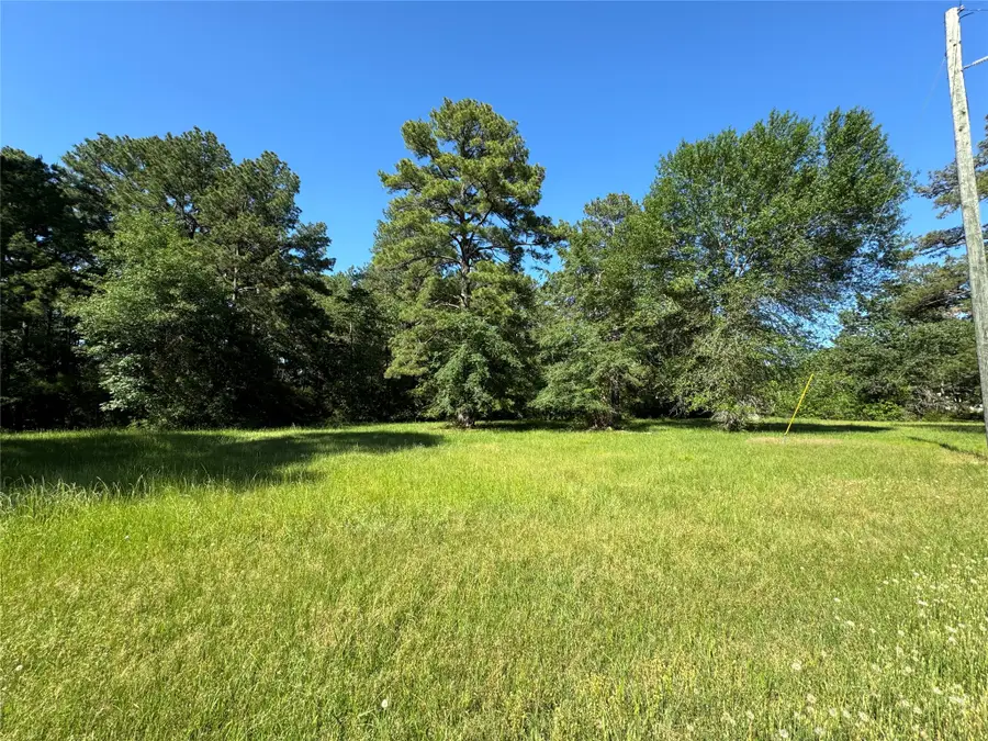 28 Oakridge North, Trinity, TX 75862 - #3