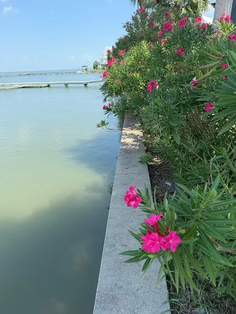 TBD Sportsman Road, Galveston, TX 77554 - Image #2