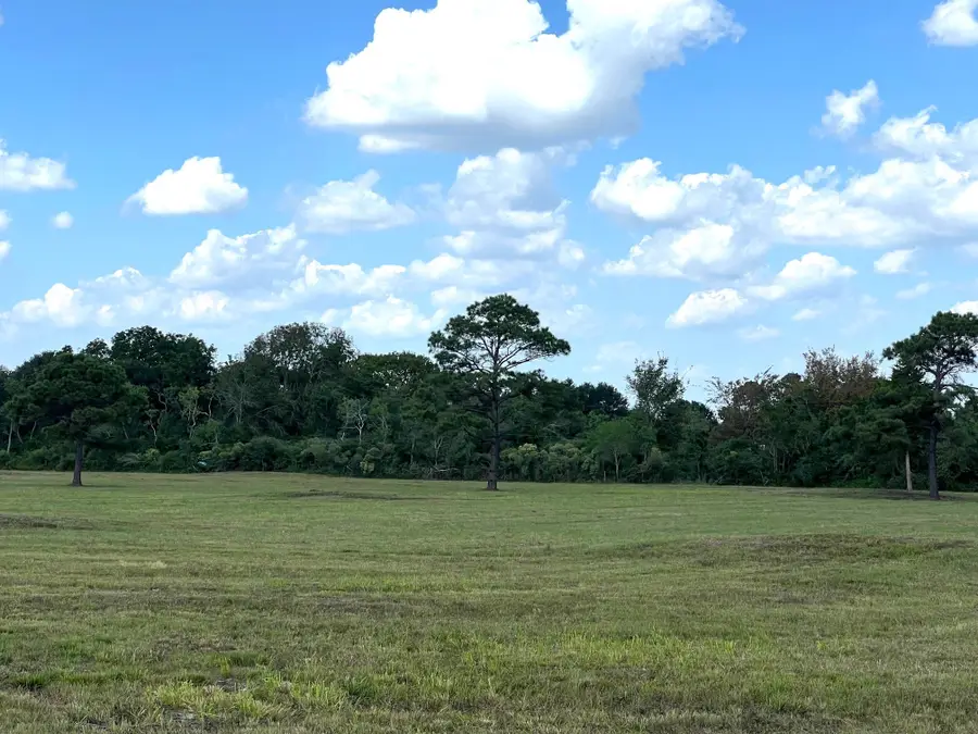 7782 County Road 203, Liverpool, TX 77577 - Image #3