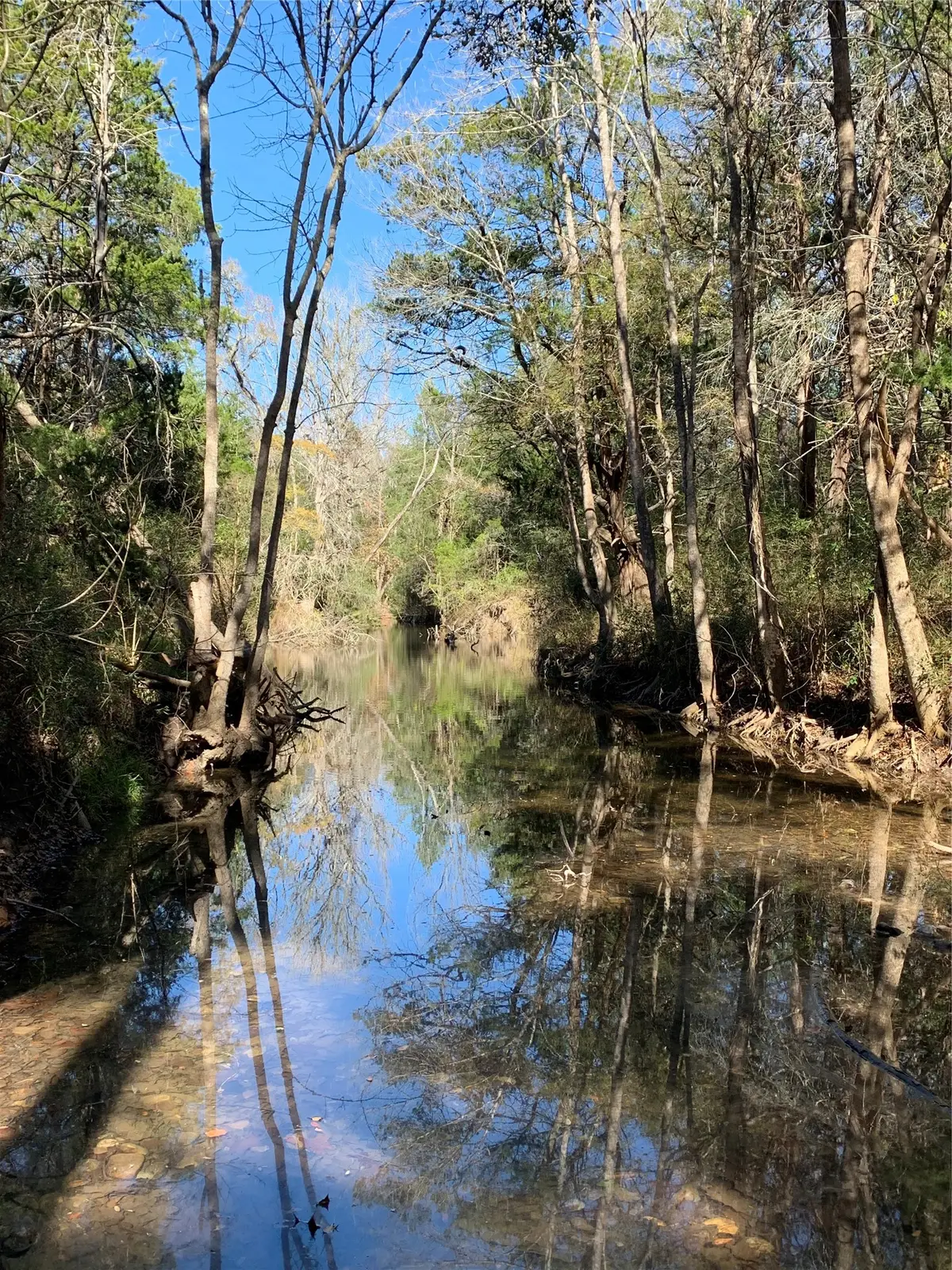 2551 Jurecka Road, Fayetteville, TX 78940 - #1