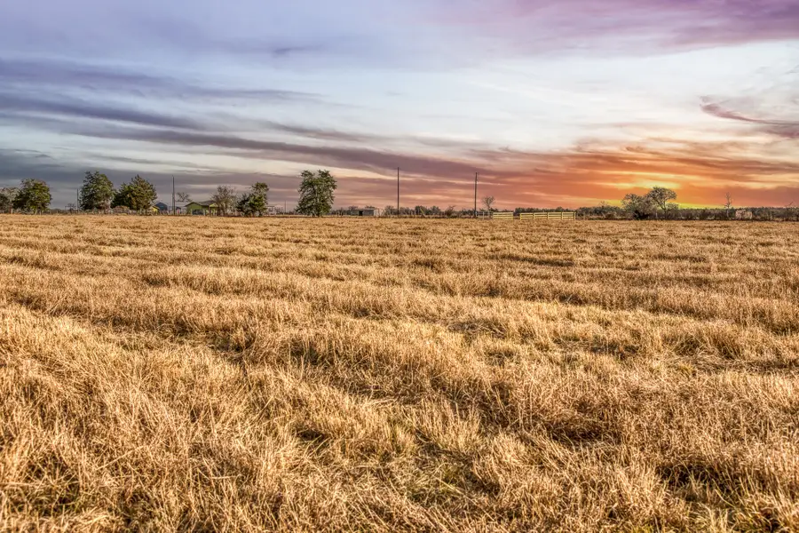 T B D County Road 318, Caldwell, TX 77836 - #3