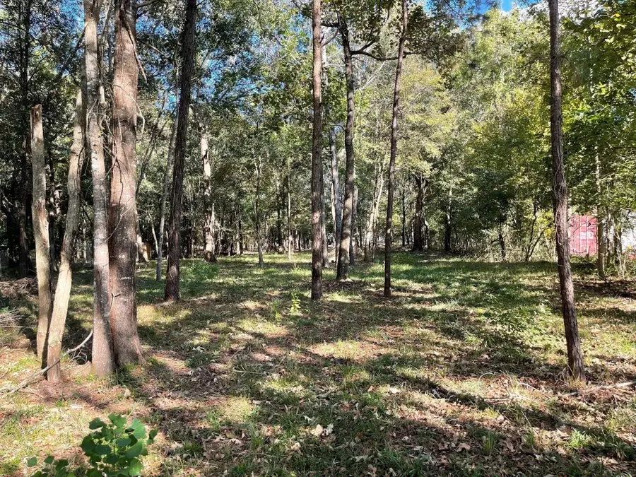 0 Calvin Road, Huffman, TX 77336 - Image #2