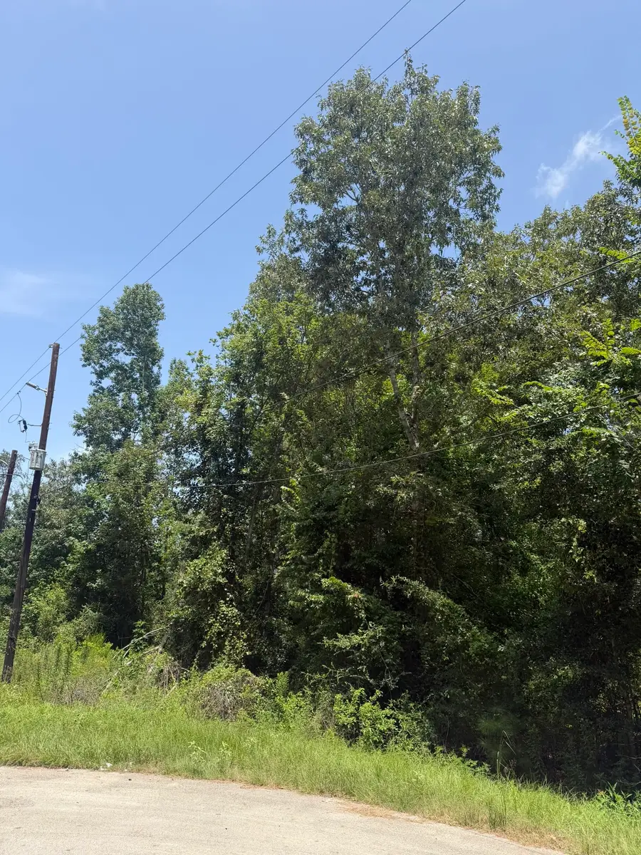 26737 Oak Creek Drive, Splendora, TX 77372 - #2