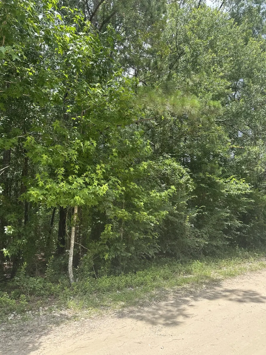 19164 Suffolk, New Caney, TX 77357 - #2