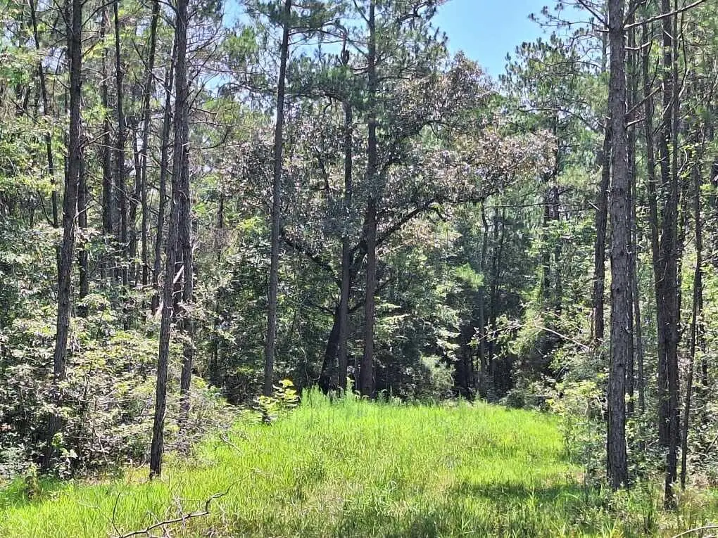 6851 Private Road 8235, Buna, TX 77612 - Image #1