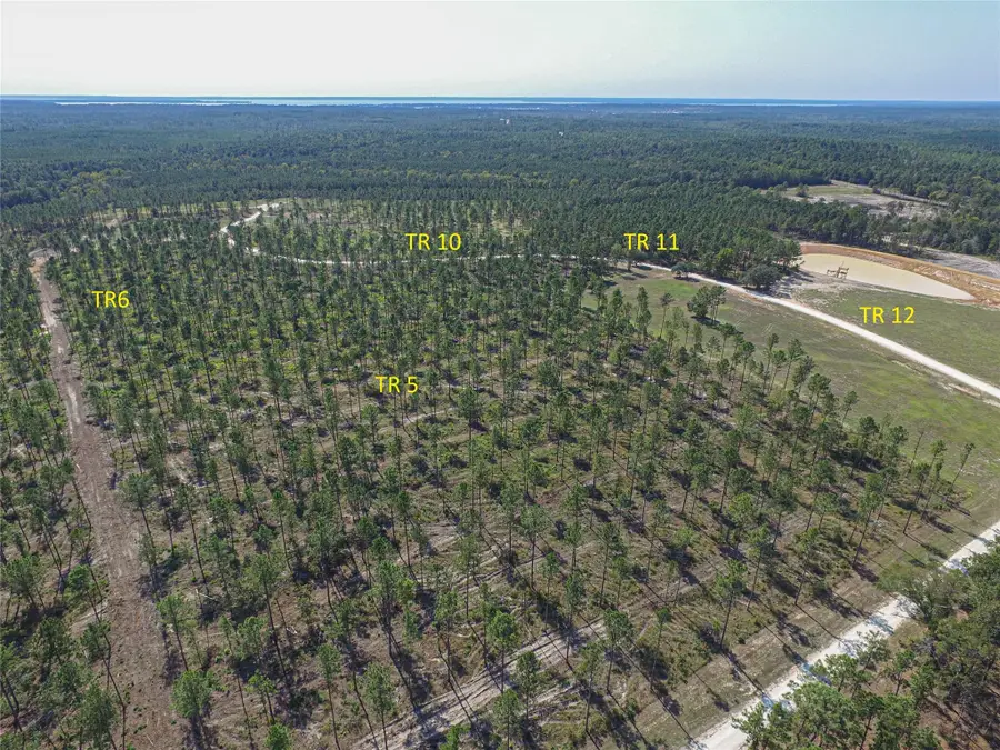 005 Lucky 13 Rd, Livingston, TX 77351 - #3