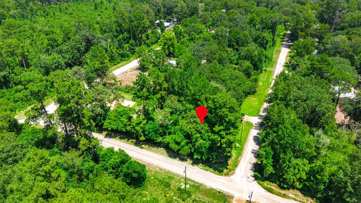 0 Elaine Avenue, Shepherd, TX 77371 - #1