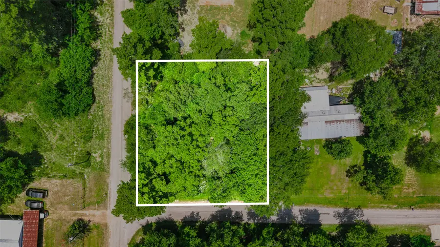 0 Elaine Avenue, Shepherd, TX 77371 - #3