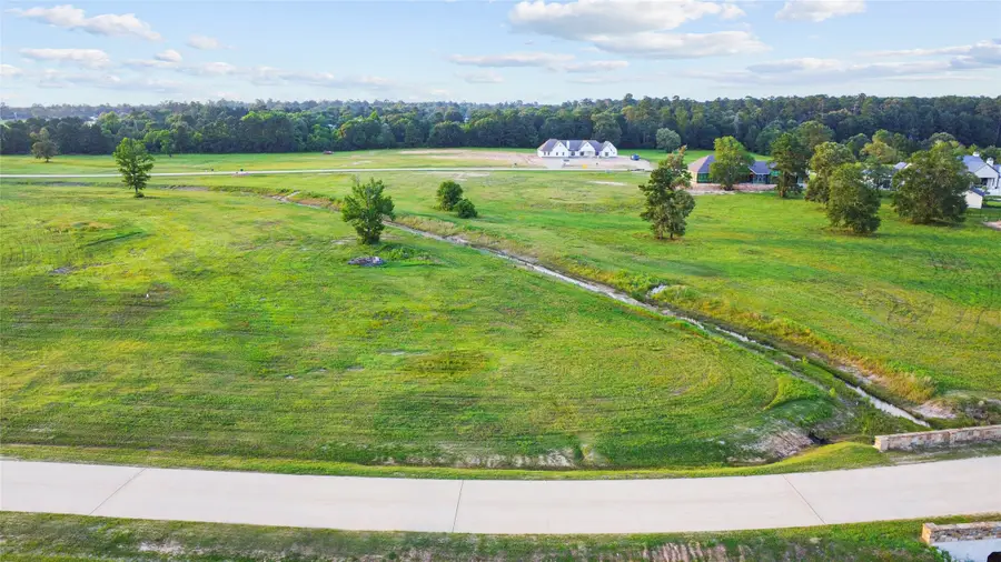 2307 Iris Cove Court, Hockley, TX 77447 - Image #2