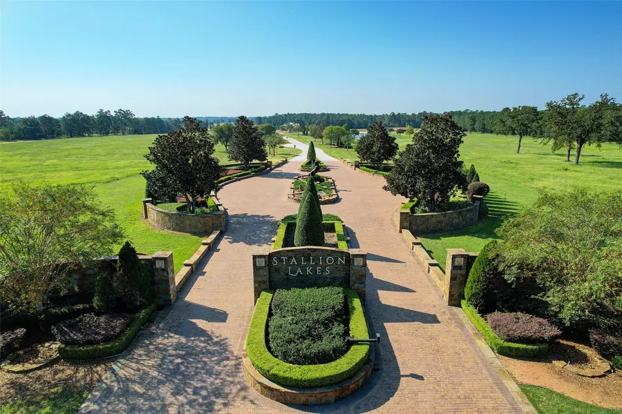 2307 Iris Cove Court, Hockley, TX 77447 - Image #3