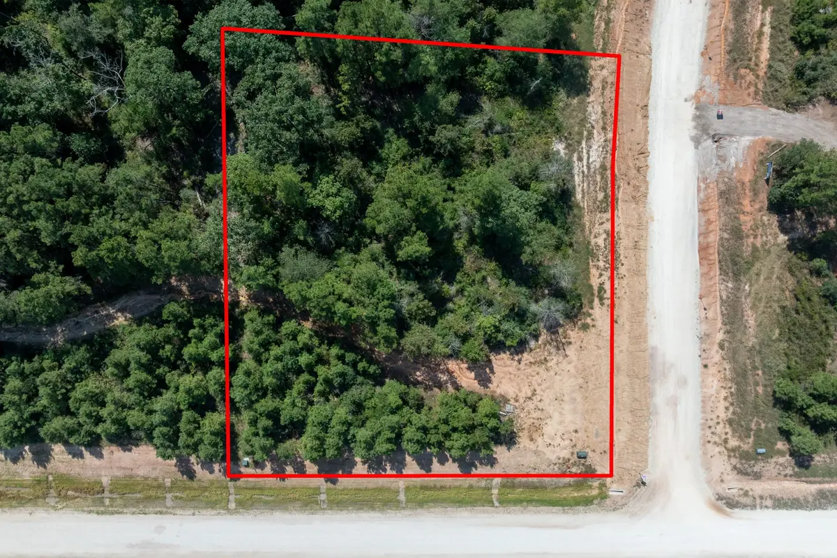 15645 Woodlife, Willis, TX 77378 - Image #1