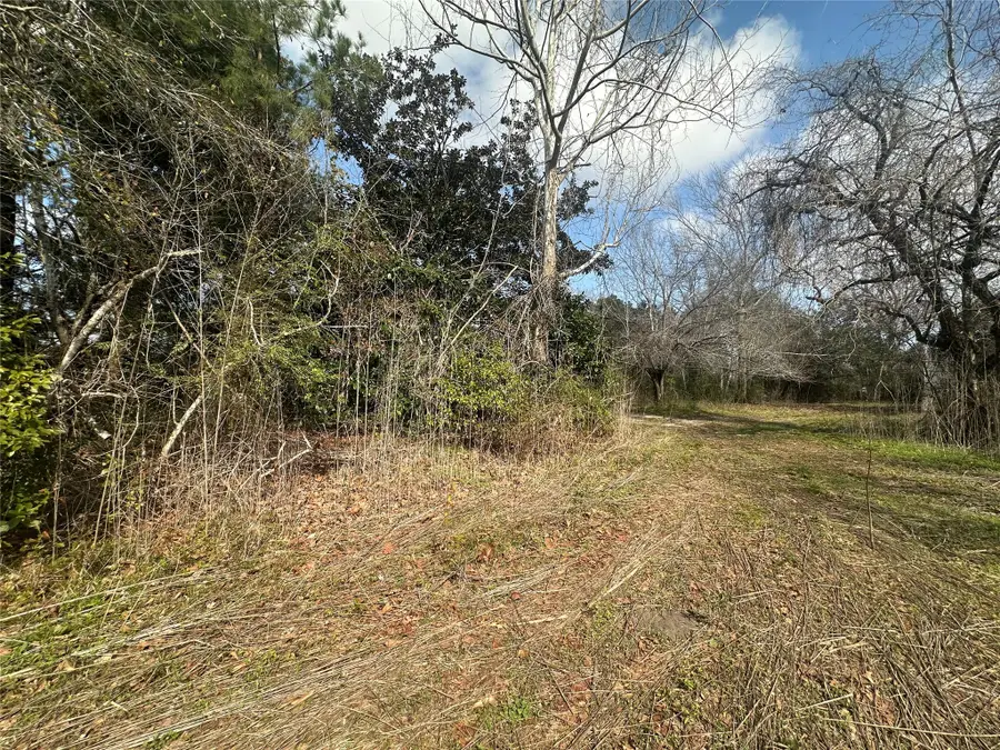 4515 Ike Frank Road, Santa Fe, TX 77517 - #2