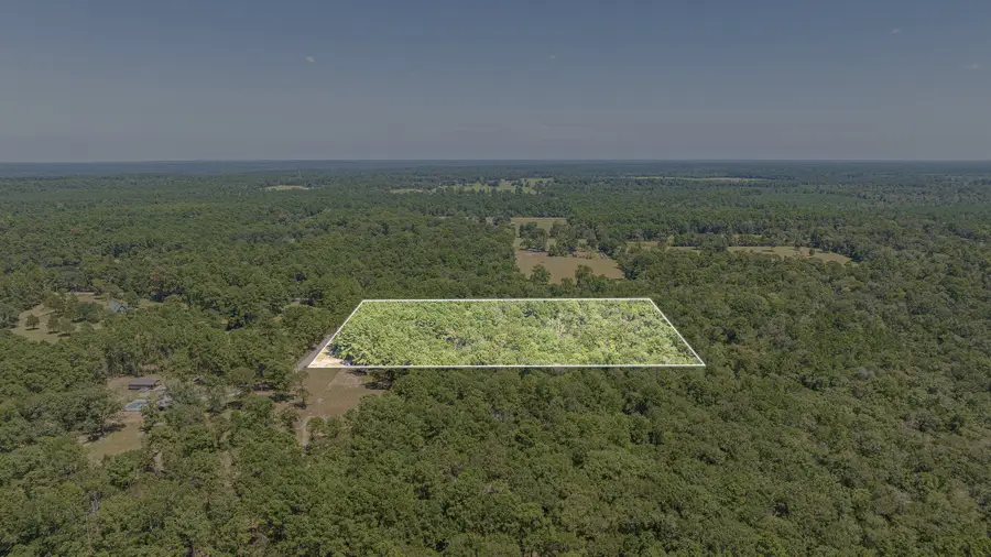 1400 Hill Road, Willis, TX 77378 - #2