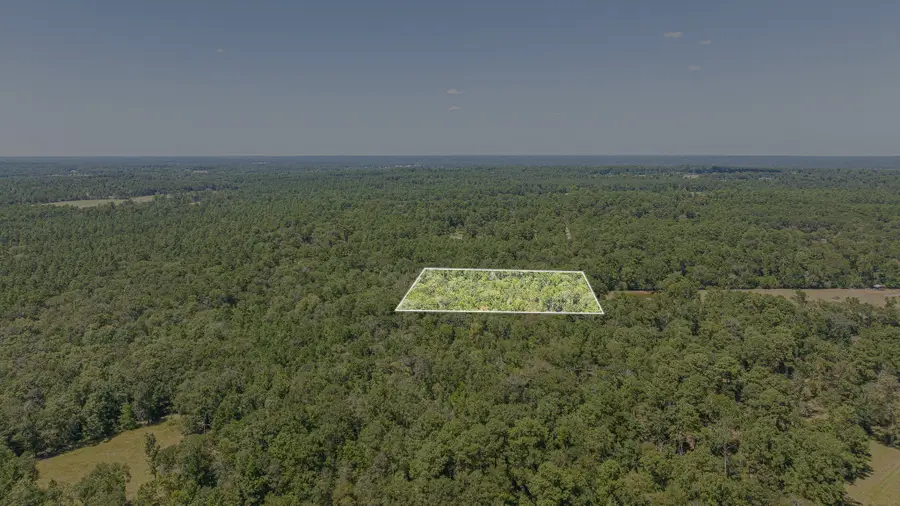 1400 Hill Road, Willis, TX 77378 - #3