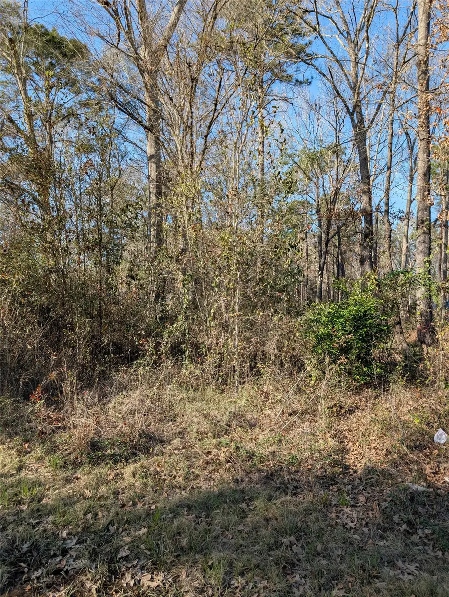 25865 Cambridge Boulevard, New Caney, TX 77357 - #2