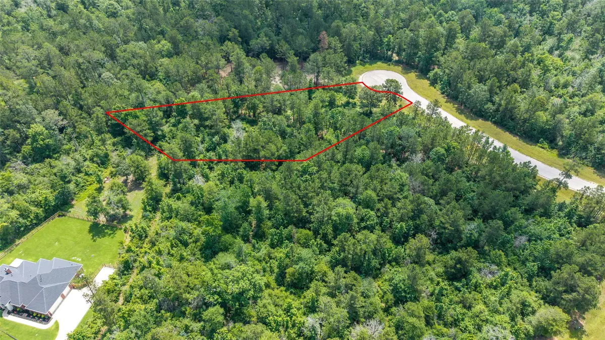 157 Iron Horse Road, Willis, TX 77378 - #1