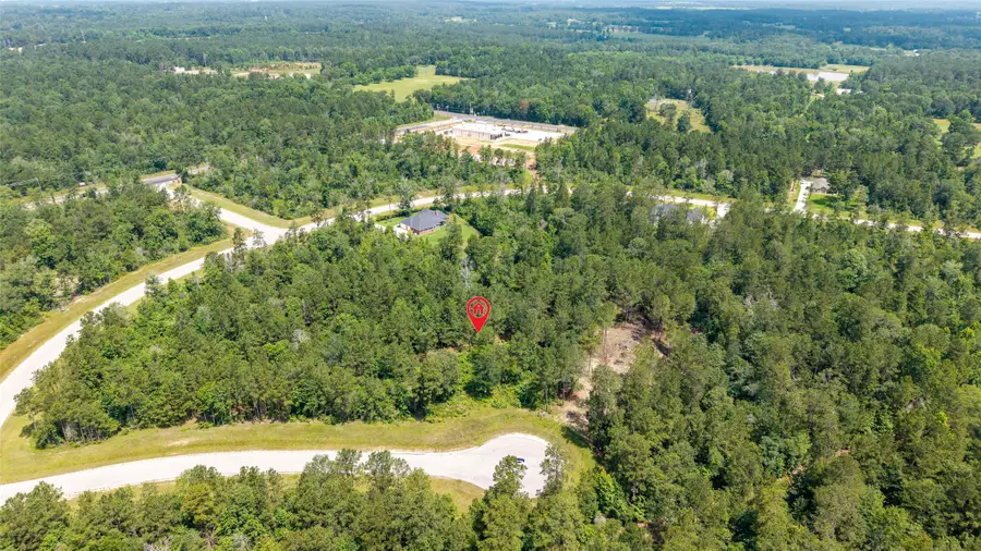 157 Iron Horse Road, Willis, TX 77378 - #3