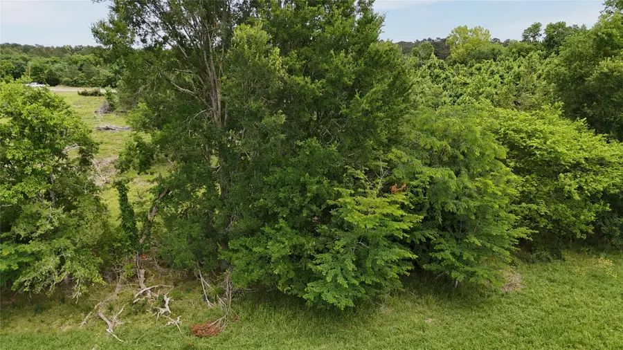 TBD 48 Acres Us Highway 59 S, Livingston, TX 77351 - #3