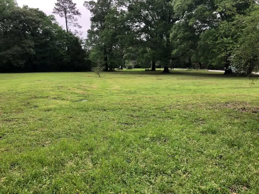 1303 Hopkins Drive, Jasper, TX 75951 - Image #3