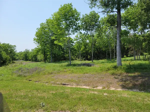00 Fm 1155 Lot 20 N, Washington, TX 77880