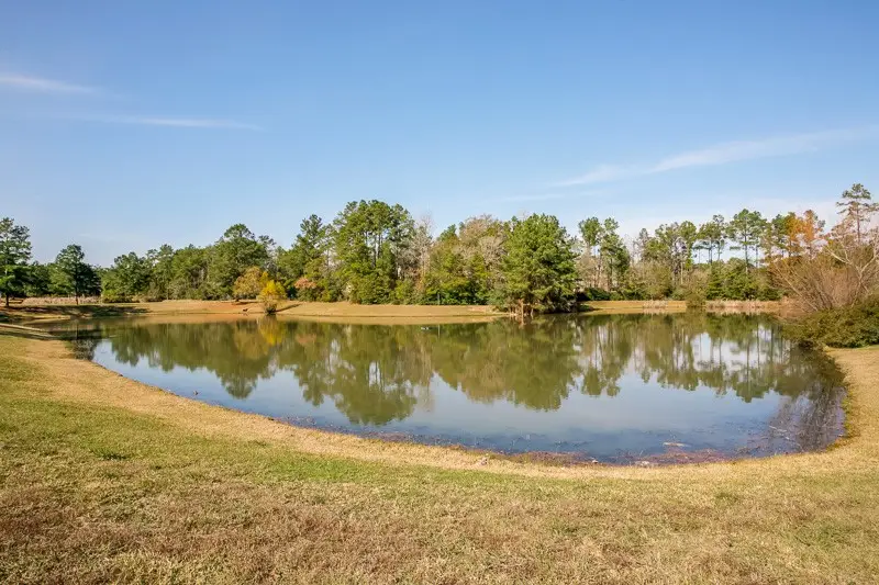 28915 Forest Hill Drive, Magnolia, TX 77355 - Image #3