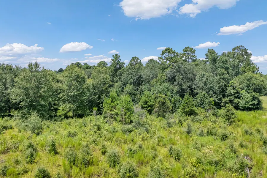 426 County Road 1420, Warren, TX 77664 - Image #2