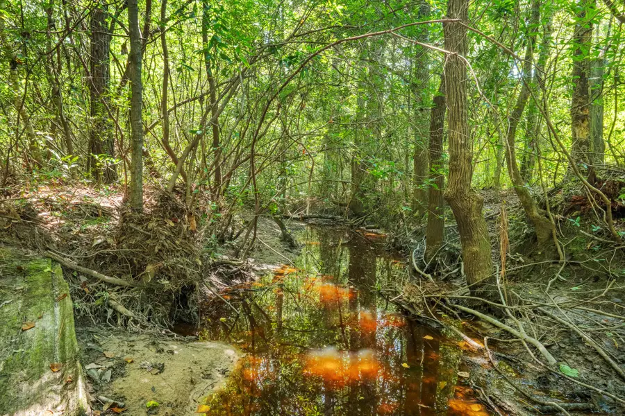 426 County Road 1420, Warren, TX 77664 - Image #3