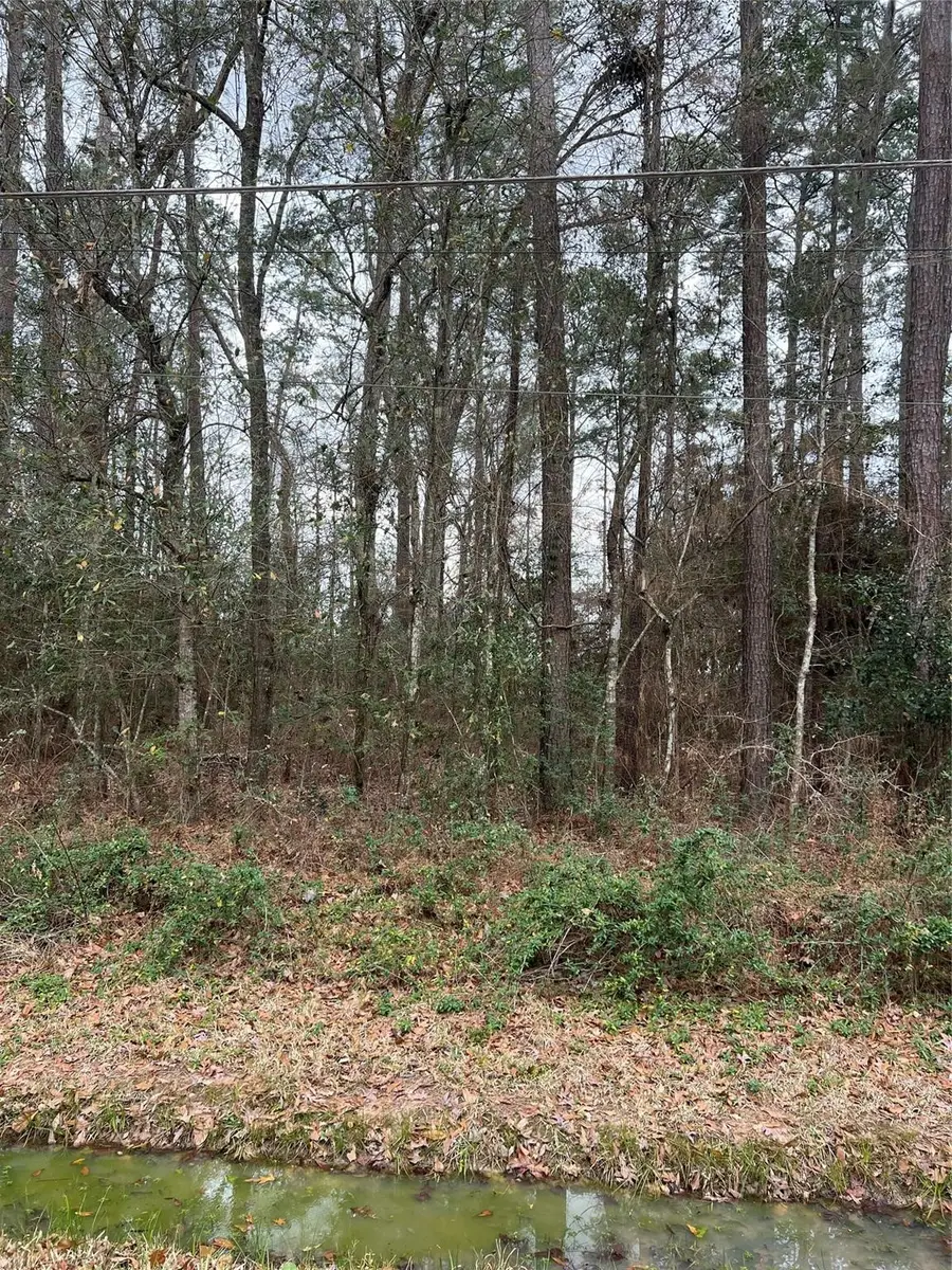 0 Meyer Rd Meyer Road, Huffman, TX 77336 - #2
